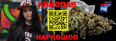 шишки Балашиха