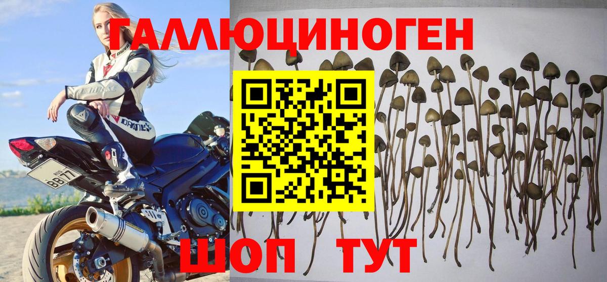 Псилоцибиновые грибы мухоморы Вязьма
