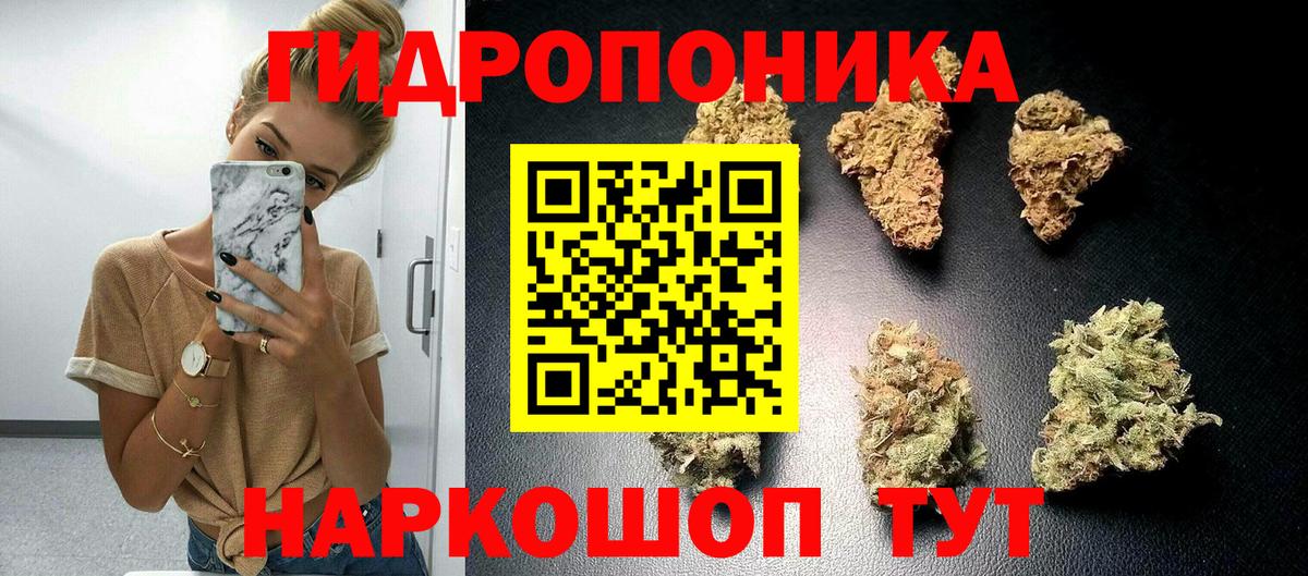 Конопля ГИДРОПОН Вязьма